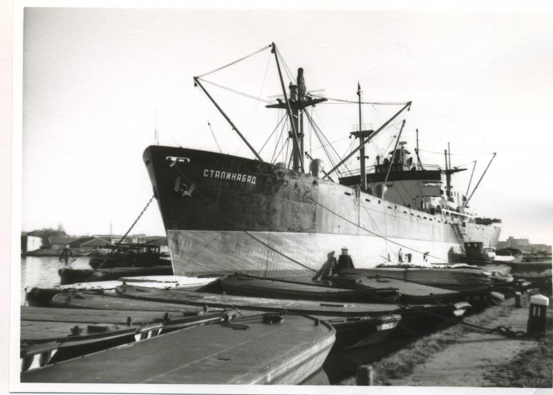 Foto 961159580